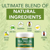 Foot moisturizer with aloe vera and tea tree oil to deeply nourish the skin, for dry and rough skin, daily hand and foot care