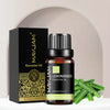 MAYJAM 3PCS/SET Vanilla Cedarwood Lemongrass Pure Essential Oils For Humidifier Diffuser Burner Making Soaps Candle DIY Perfume