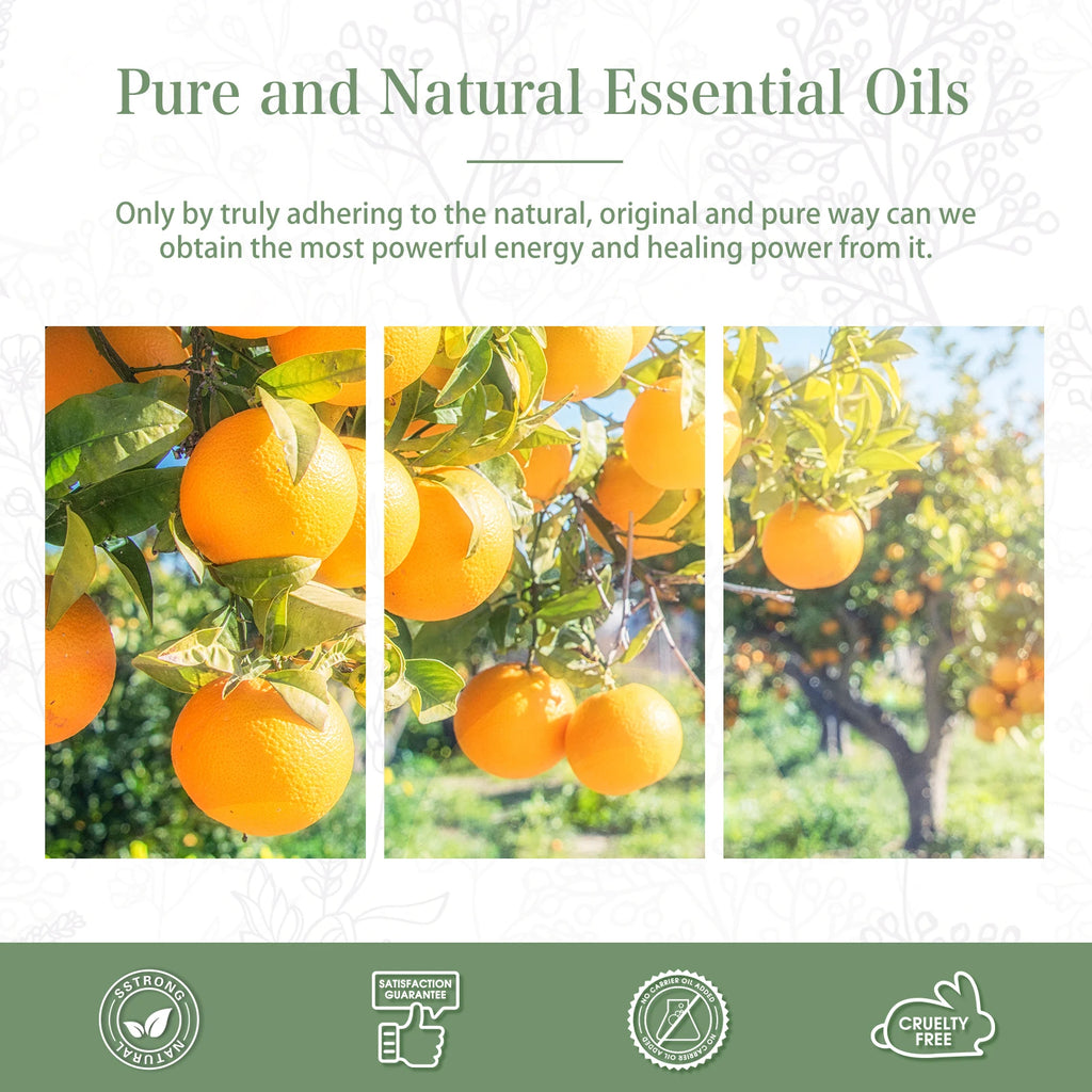 PHATOIL 100ml Sweet Orange Essential Oil For Diffuser Aromatherapy Premium Fragrance Essential Oils For Candle Making DIY Soap