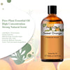 PHATOIL 100ml Sweet Orange Essential Oil For Diffuser Aromatherapy Premium Fragrance Essential Oils For Candle Making DIY Soap